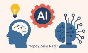 Yapay Zeka Nedir? 3 Temel Başlıkta Anlatım Yapay Zeka Nedir?Makine Öğrenmesi Nedir?