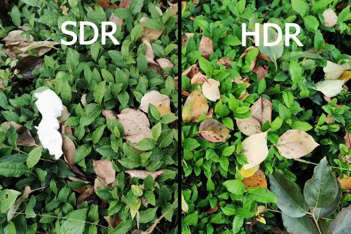 HDR Teknolojisi Nedir? HDR Nasıl Kullanılır? Yeşil yapraklarla kaplı bir zemin: solda SDR görüntüsü daha mat ve detaydan yoksun, sağda HDR ile parlak yeşiller, belirgin doku ve gölgelerde netlik. HDR, doğal renkleri ve kontrastı belirgin şekilde artırıyor..